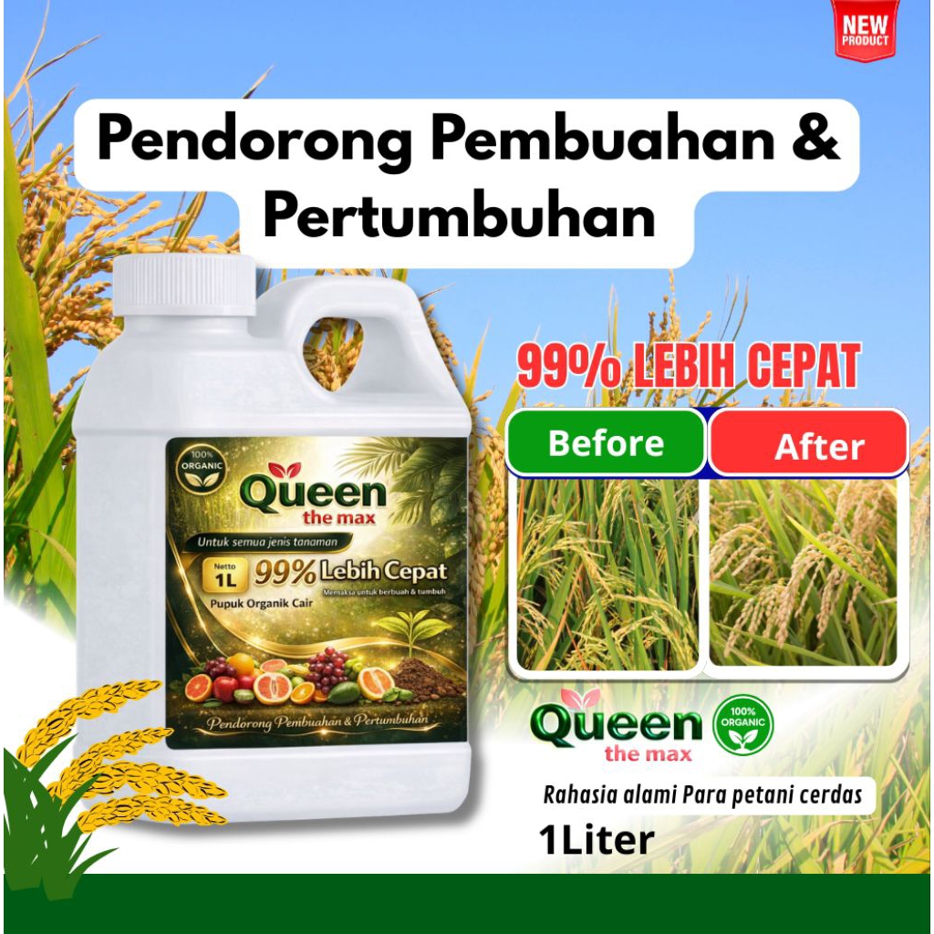 PESTISIDA NABATI NUTRISI PADI | PENYUBUR TANAMAN PADI MENAHAN SERANGAN HAMA TANAMAN