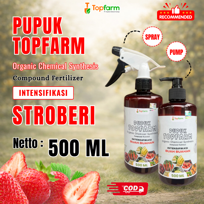 Pupuk Buah Stroberi / Pemicu Buah Stroberi Agar Cepat Berbuah Lebat / Pupuk TopFarm / Pelebat Buah S