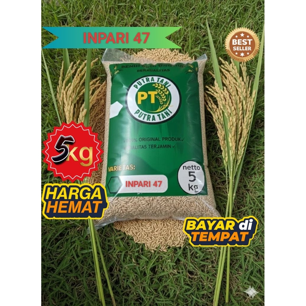 INPARI 47 (KEMASAN 5KG) BENIH PADI UNGGUL BIBIT PADI BERKUALITAS PREMIUM