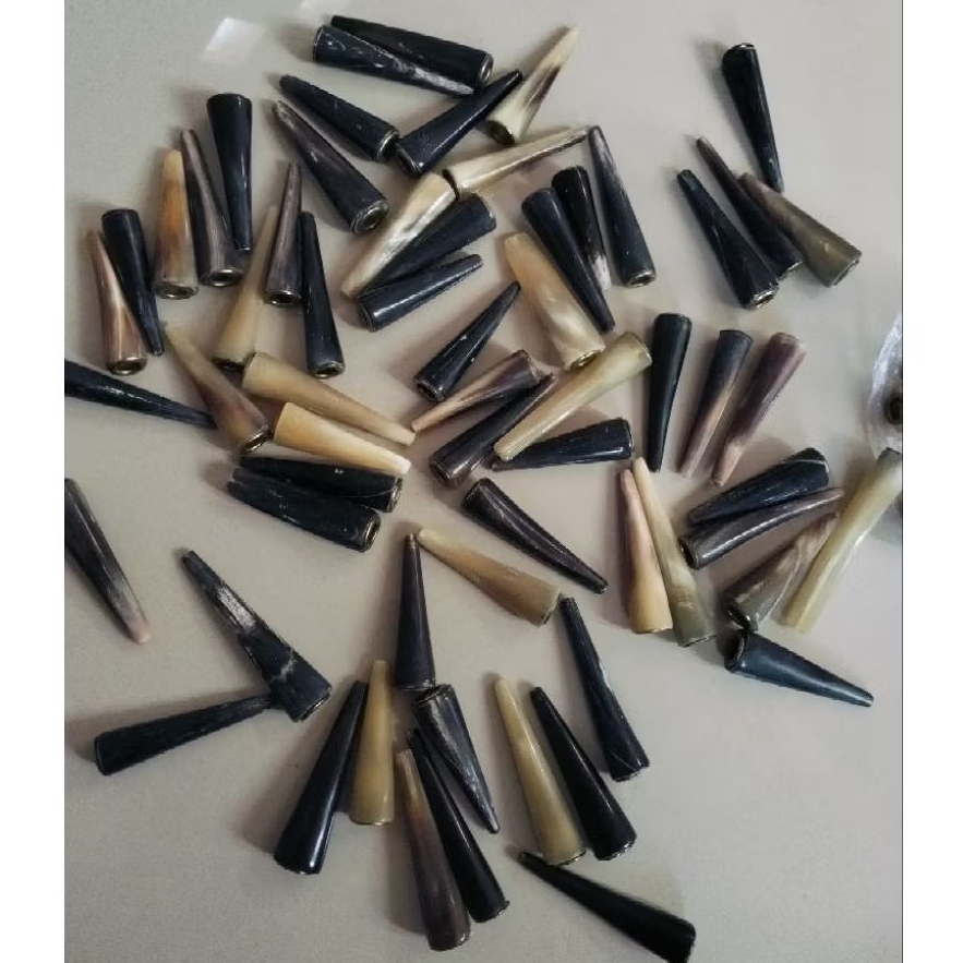 pipa once tanduk kerbau 100%asli