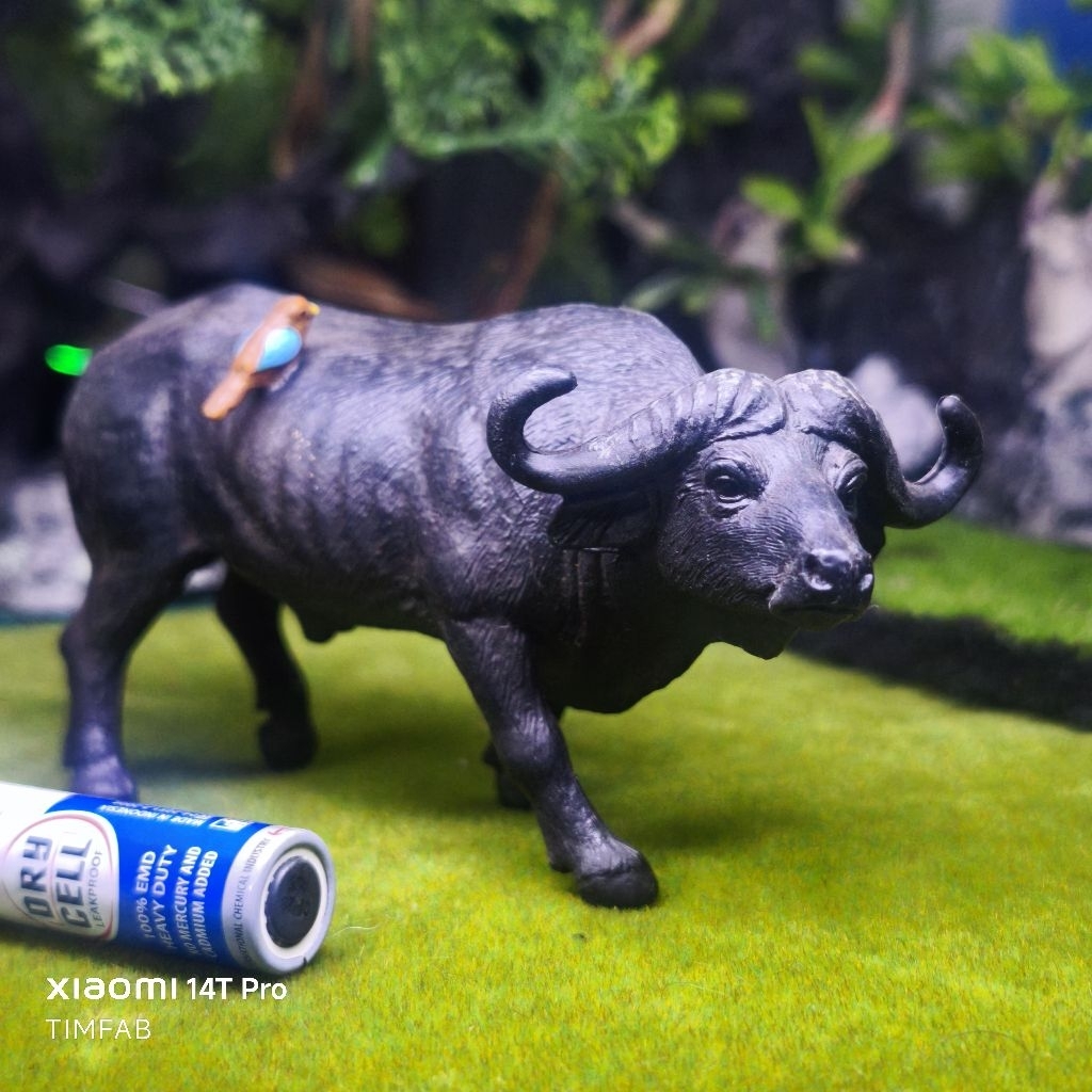 African Cape buffalo with bird figure