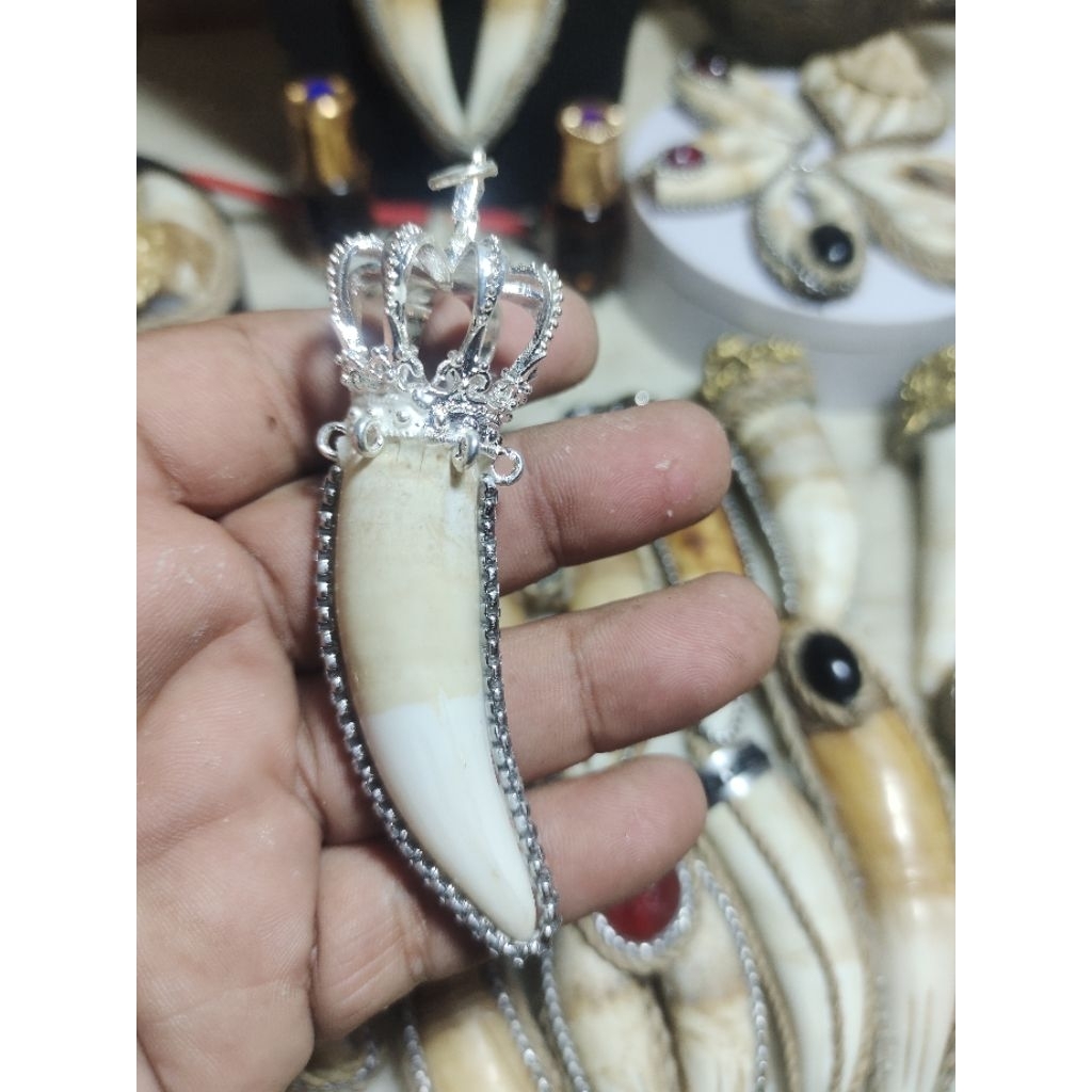 Liontin Taring Buaya Mahkota Raja