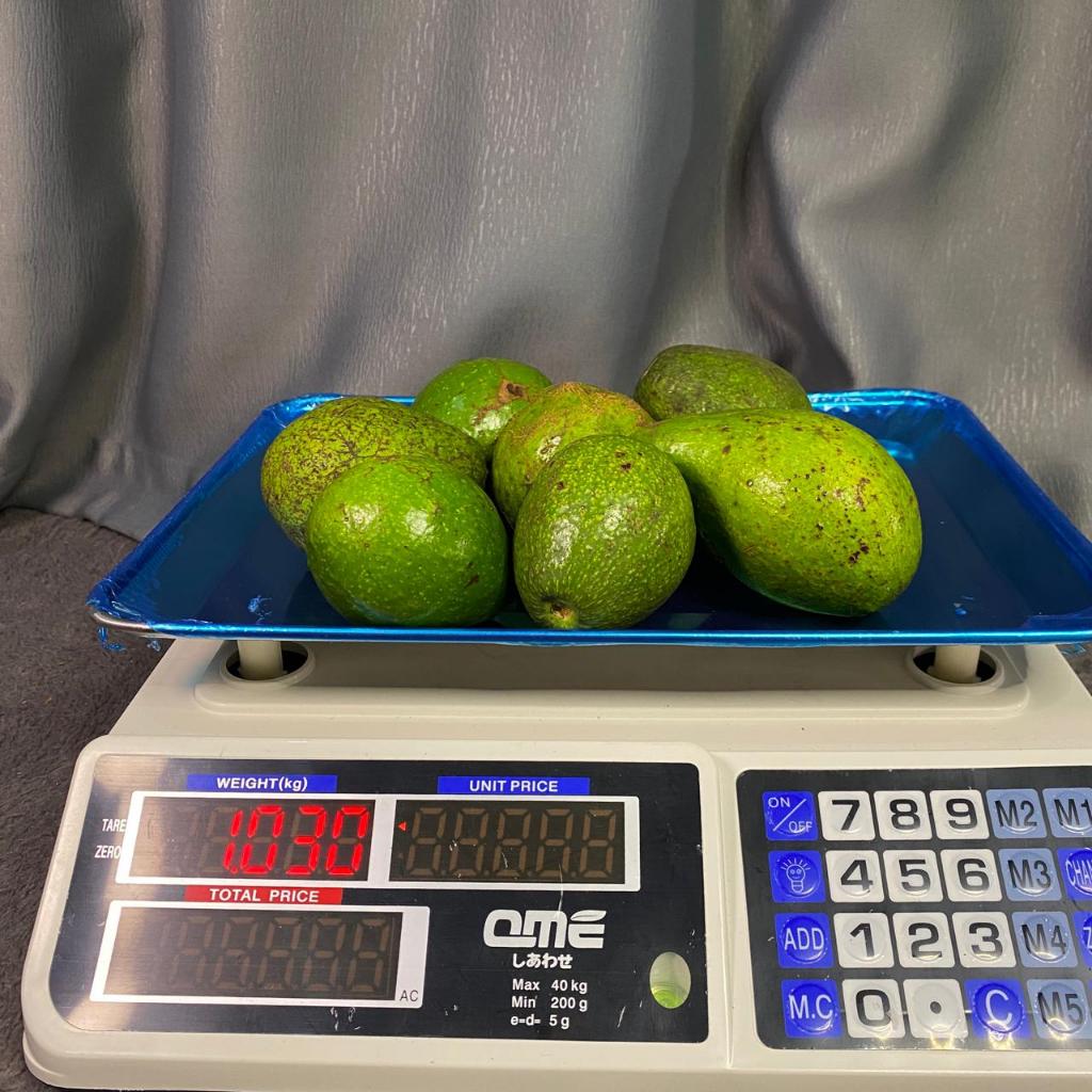 Alpukat Mentega 1kg 5-7 Buah Lembut Creamy Asli Boyolali Garansi Pengiriman JAWA-BALI