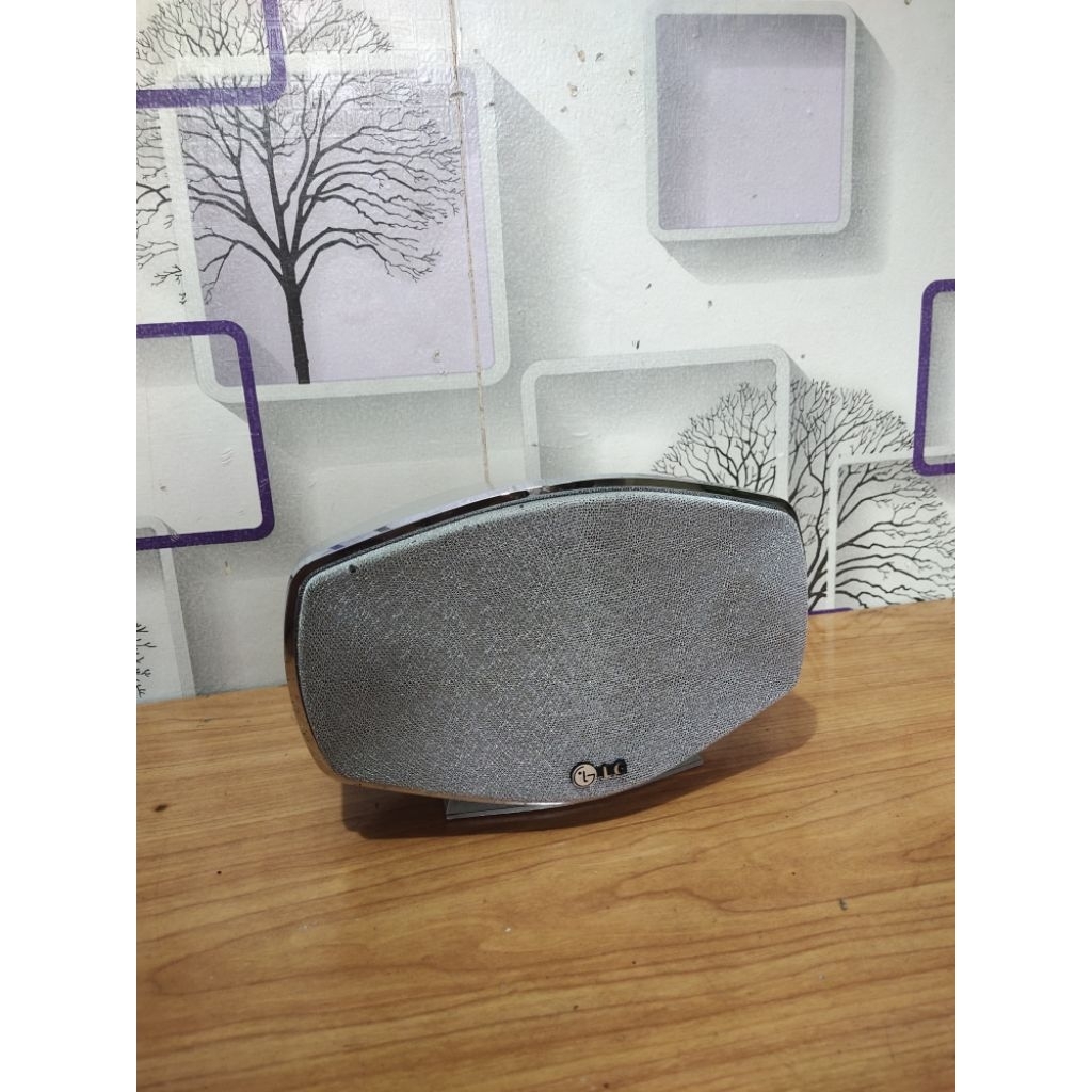 SPAEKER FASIF CENTER HOME THEATER LG