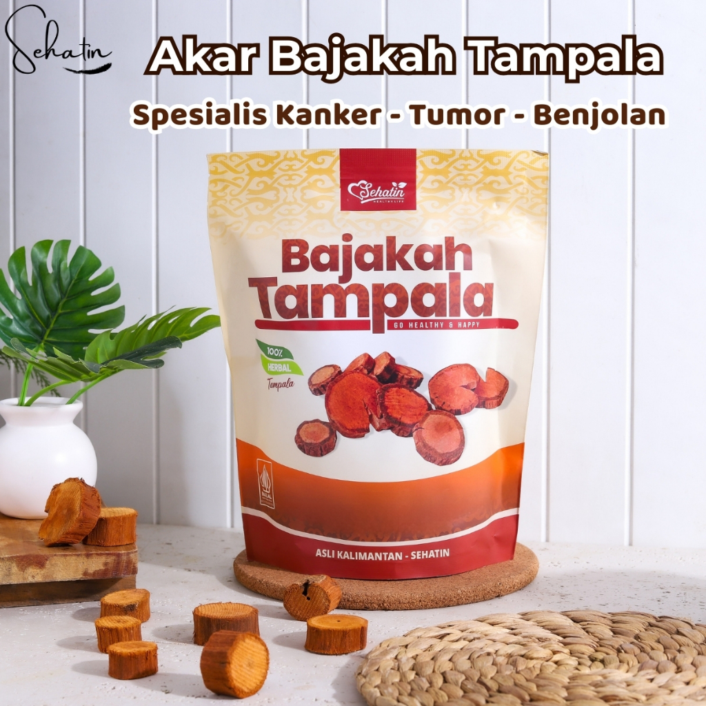 Akar Bajakah Tampala Asli Kalimantan 100% Asli Bajakah Tampala Merah
