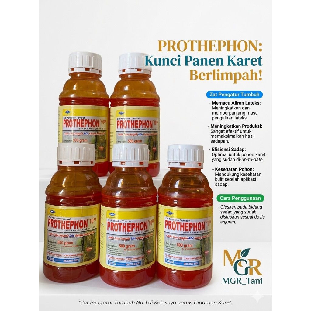 PROTHEPHON 10PA ZPT Karet 500ml