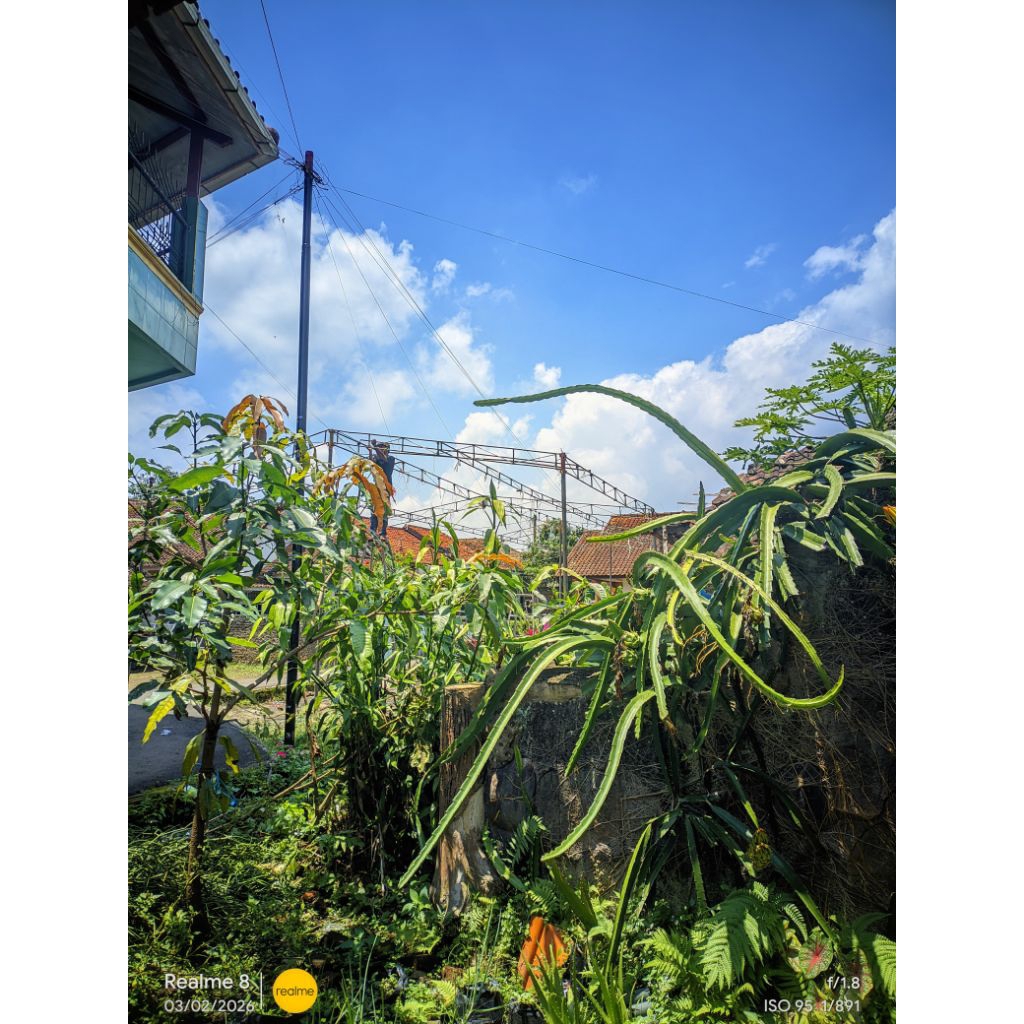 Config Malam Gcam LMC8.4