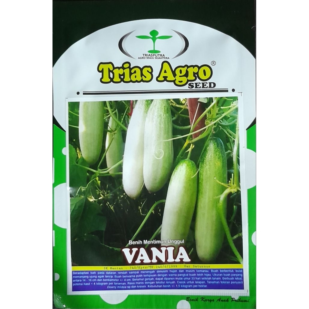 Benih Timun Putih Lalap VANIA 10 gr