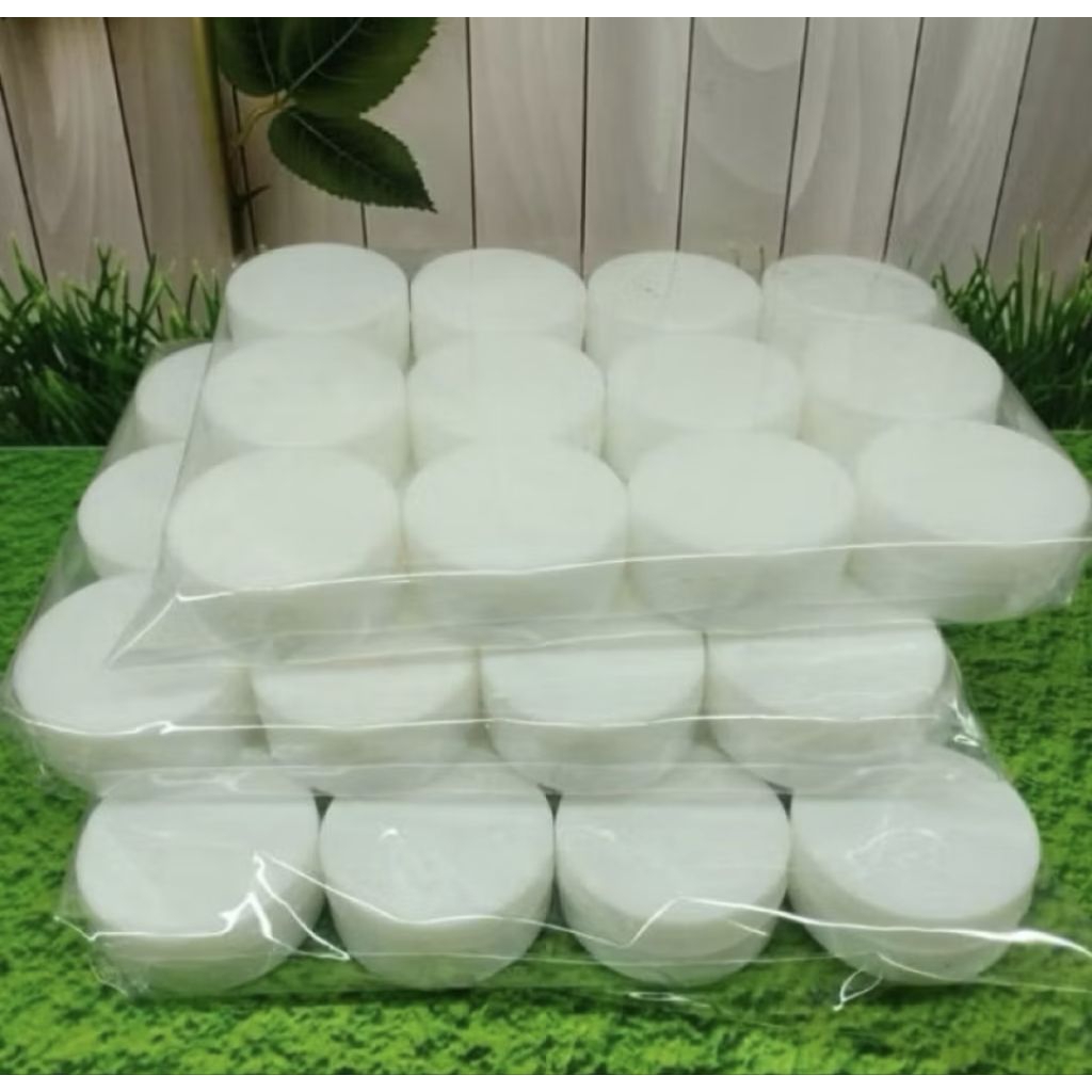 bibit pemutih cina selusin 12 pcs