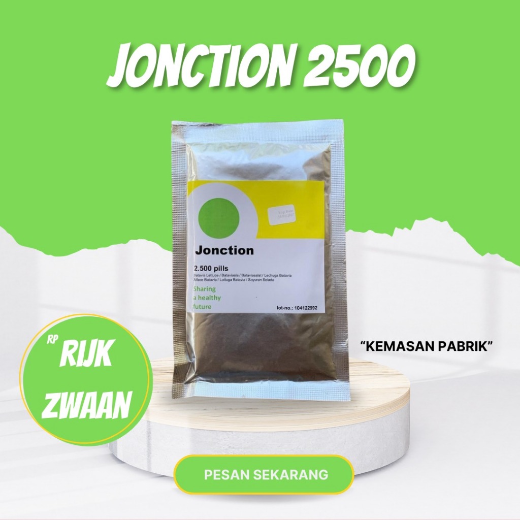 RZ Jonction Benih Selada  / Benih Selada RZ Junction 2.500 pils