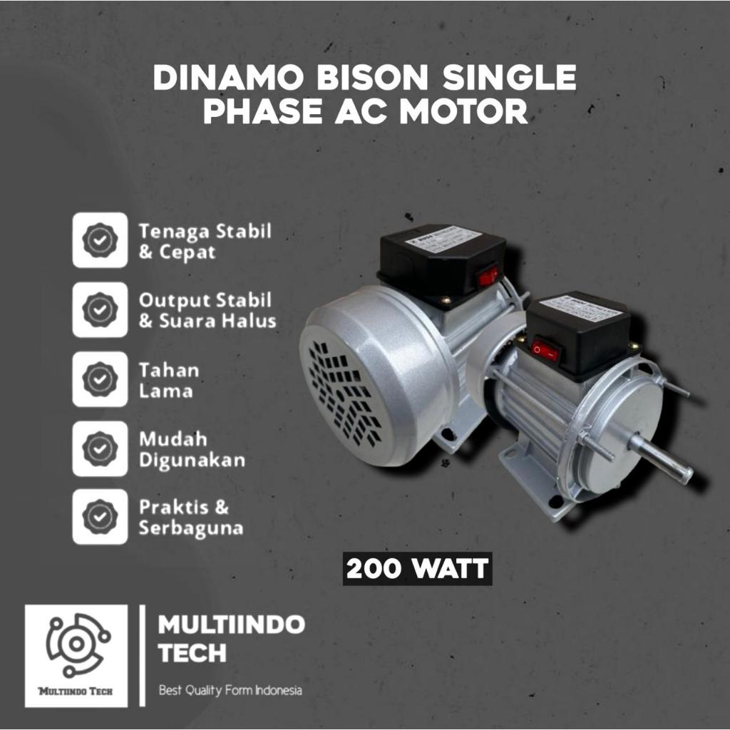 Dinamo Parutan Serbaguna Dinamo Motor Parut Kelapa 200 Watt 2800 Rpm Merk BISON/TIGER Multifungsi