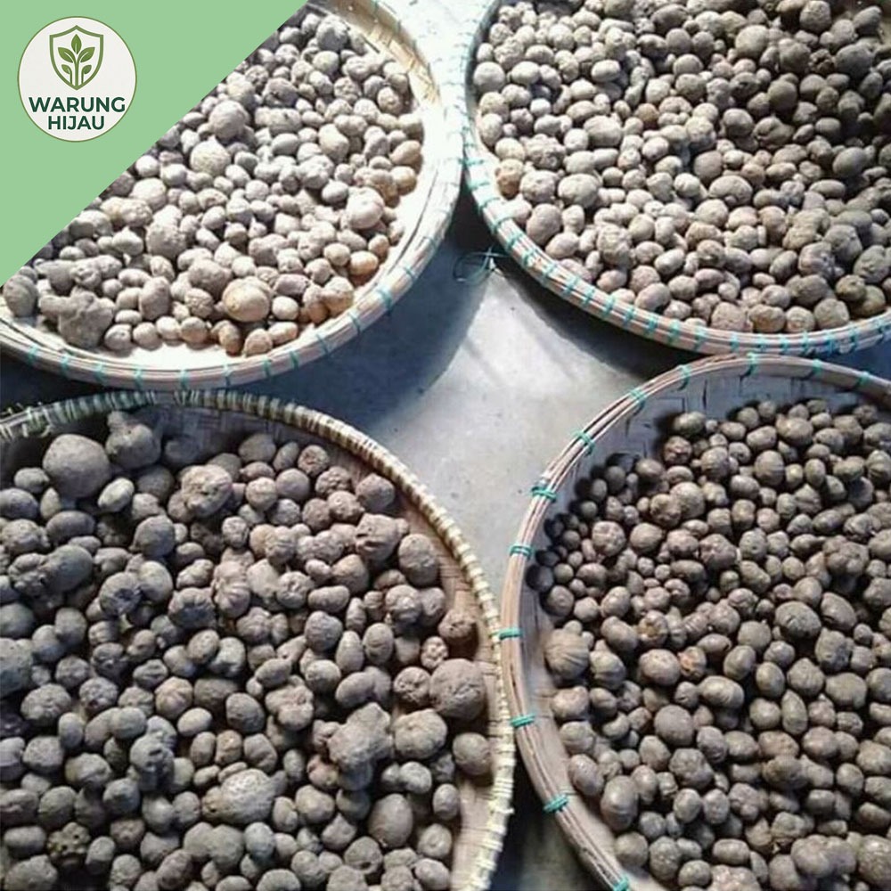 bibit porang katak asli dorman 1kg isi 200-700 bibit. (random)