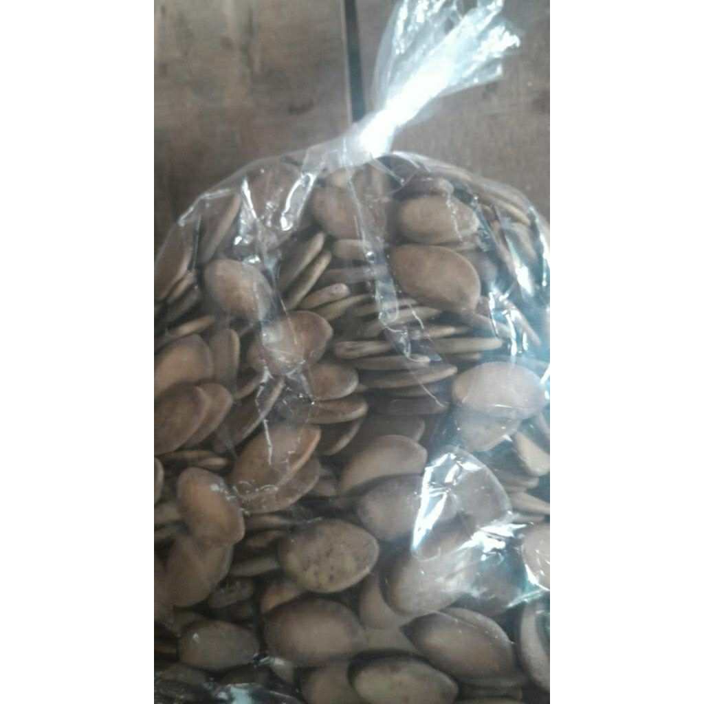 Benih Biji Solobium parahyba ASLI 100%
