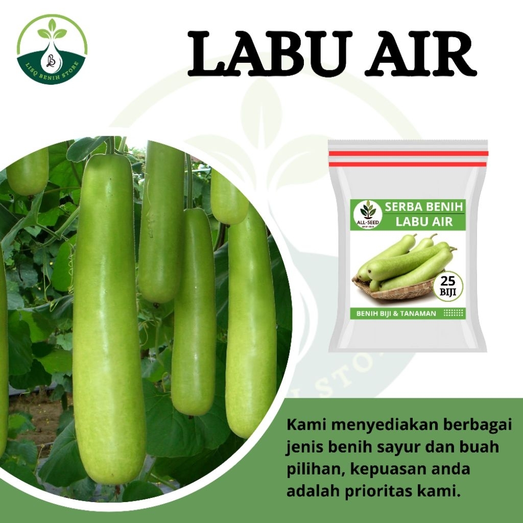 { 25 BIJI } Labu air Balistik / labu air pendek / bibit labu air