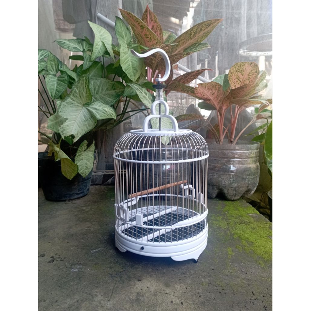 Sangkar Cungkok d22 bahan pvc ruji aluminium