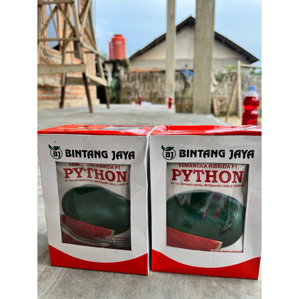 BENIH SEMANGKA HIBRIDA F1 PYTON NON BIJI LONJONG 300biji