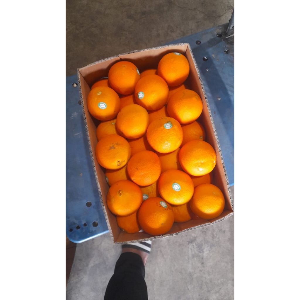 Jeruk Sunkist Navel