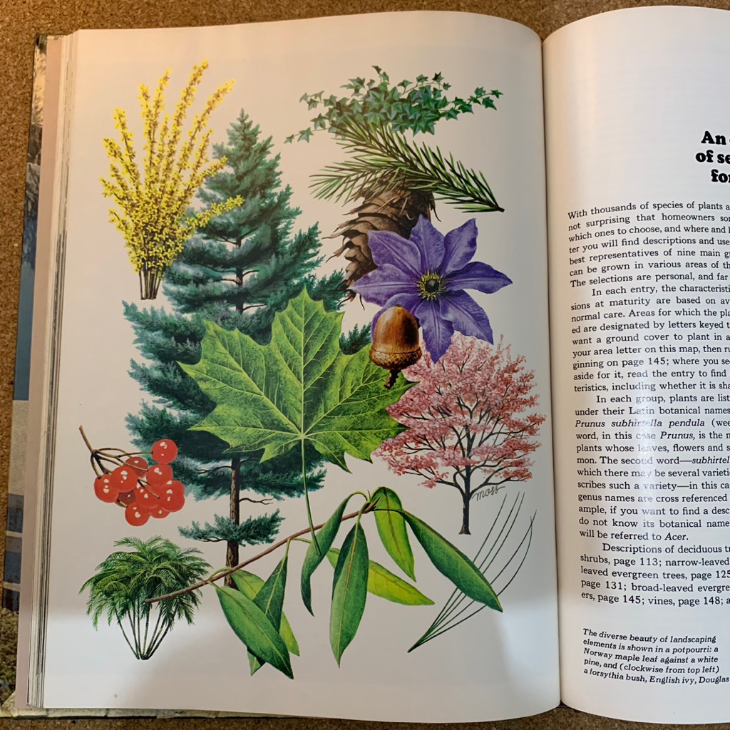 The time life encyclopedia of gardening | landscape gardening