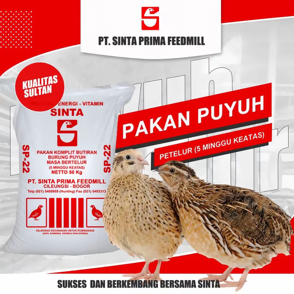 Pakan Puyuh Petelur Sinta SP-22 berat 1kg