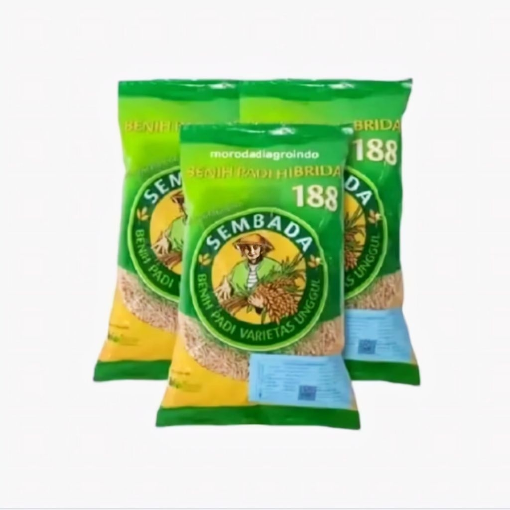 (1KG) BENIH PADI UNGGUL HIBRIDA SEMBADA 188 ORIGINAL 100%