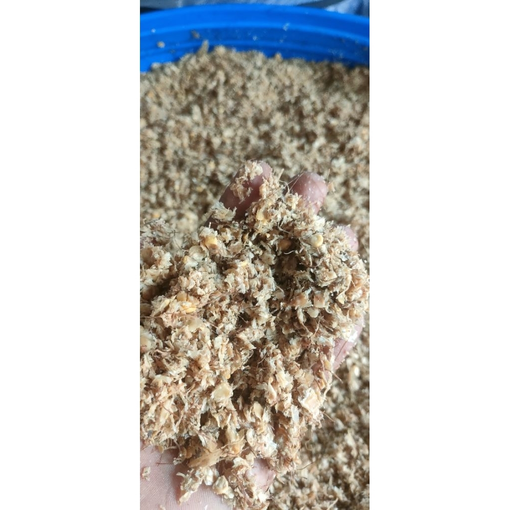 tumpi/jenjet jagung pakan ternak fermentasi 1 kg