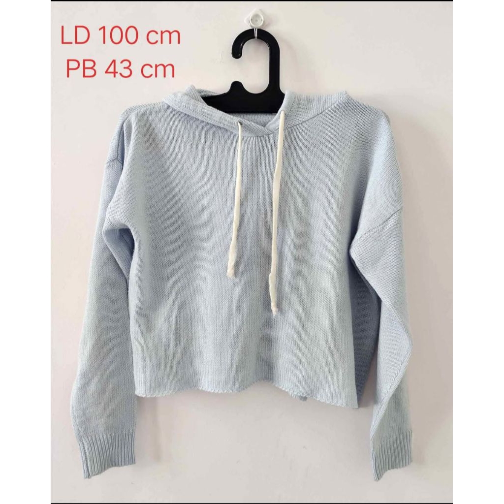Sweater Hoodie Crop Wanita Merek Colorbox Size M