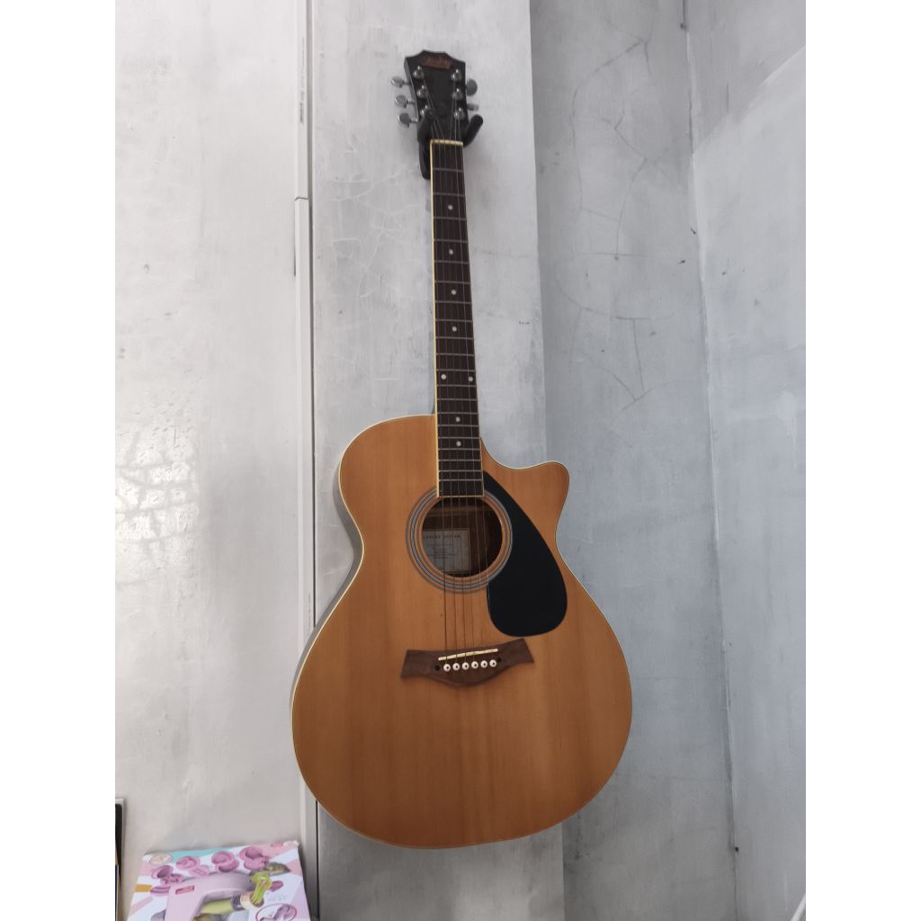 Gitar Lesley AC01