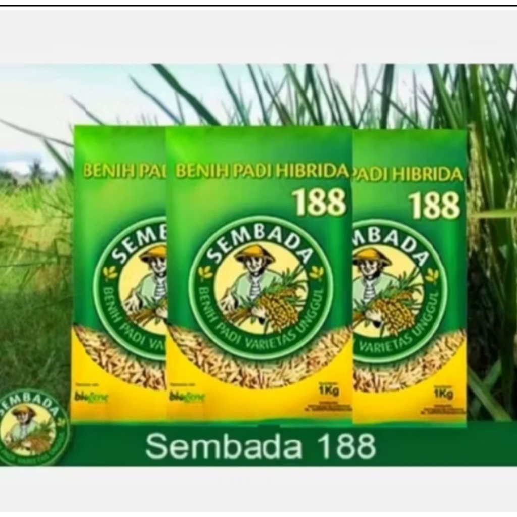 (1KG)BENIH PADI SEMBADA 188 ORIGINAL