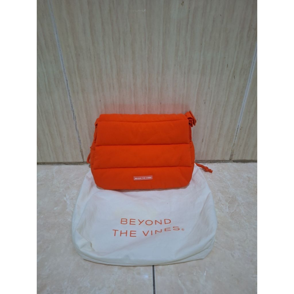 Beyond The Vines Poofy bag (Like new)