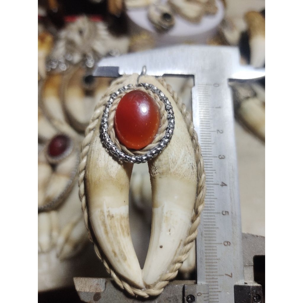 Liontin Sepasang Taring Buaya Gemoy