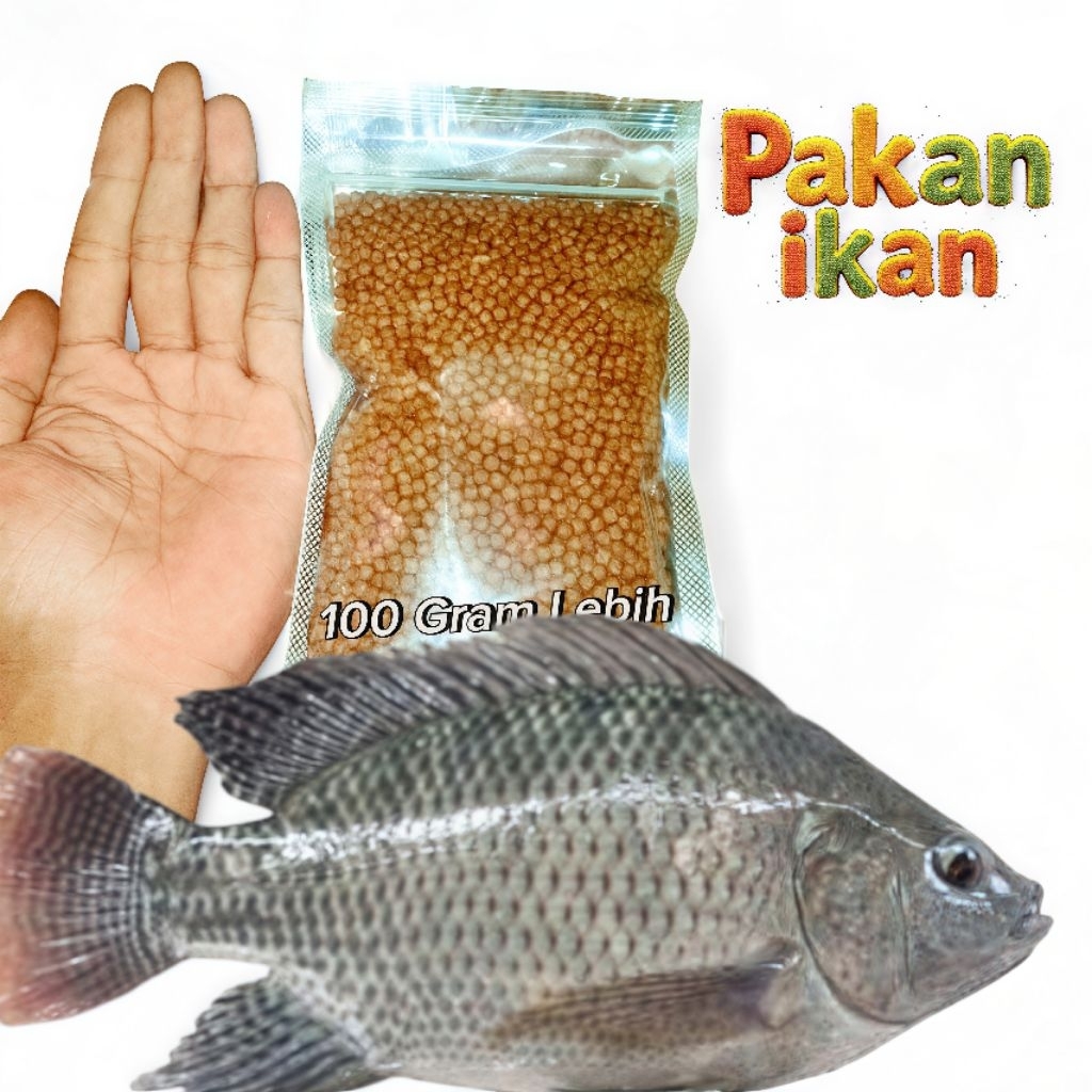 100 Gram Pakan Ikan Nila Dewasa Pelet ikan apung pakan ikan nila gurame lele sidat udang