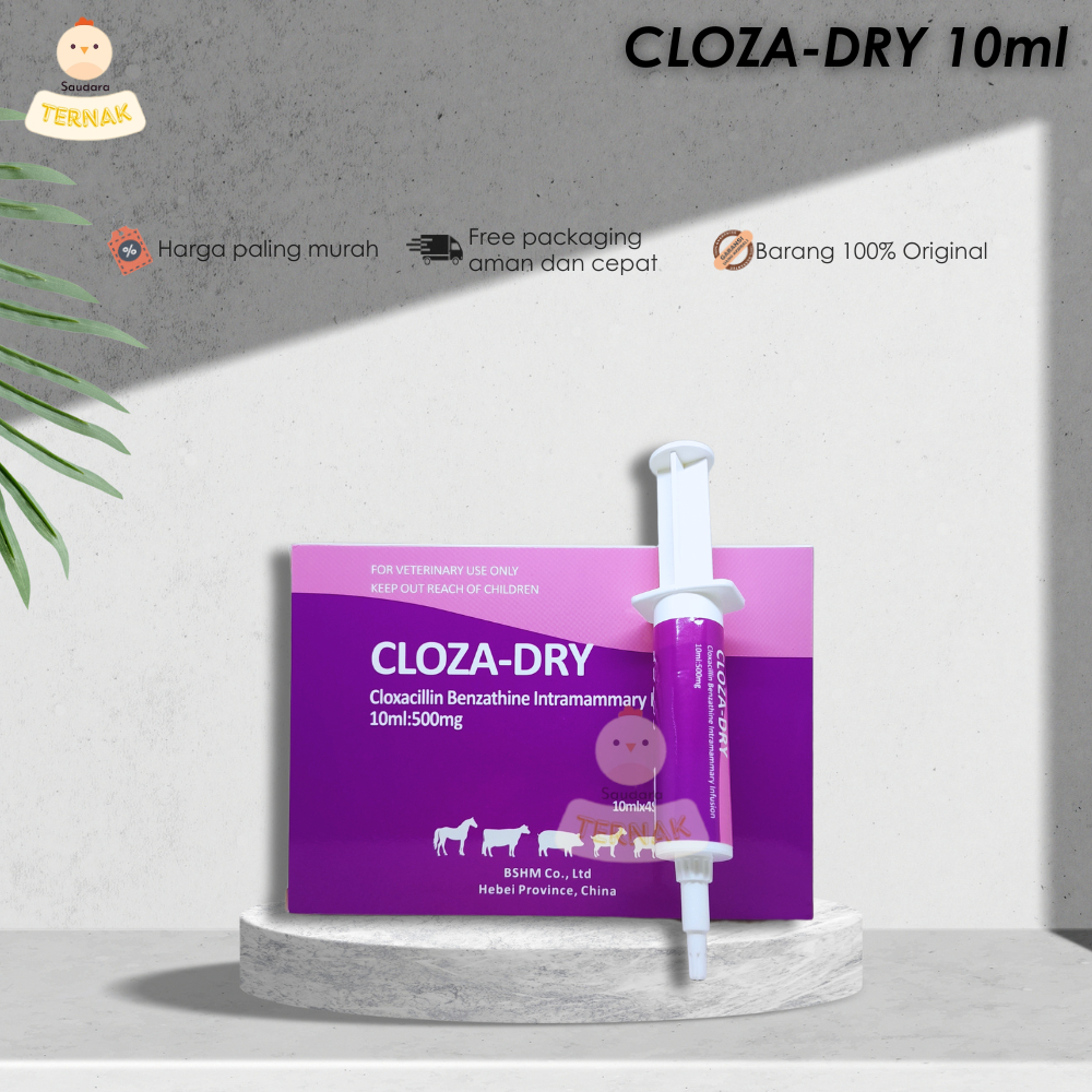 Cloza Dry 10 ml Ecer 1 piece - Obat Hewan Mastitis Masa Kering Sapi Kambing Pengganti Depolac Biomyc