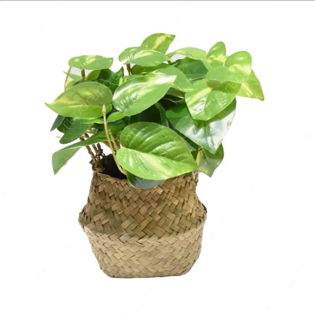 INFORMA ARTIFICIAL LEAVES IN POT SK4A 20X20X25CM // INFORMA TANAMAN HIAS // TANAMAN PALSU // JUAL TA