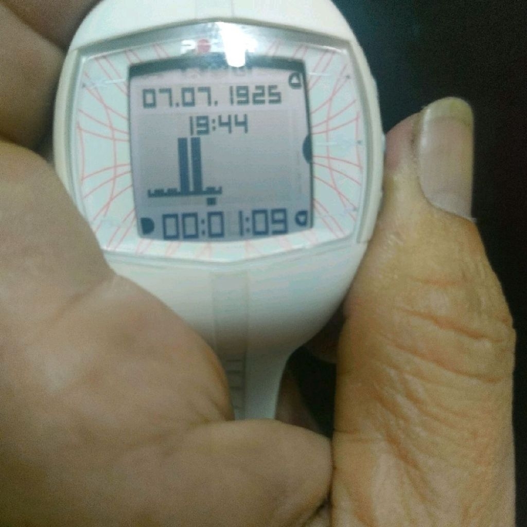 Jam Tangan Olahraga Polar Watch Rare Item Seri FT-40