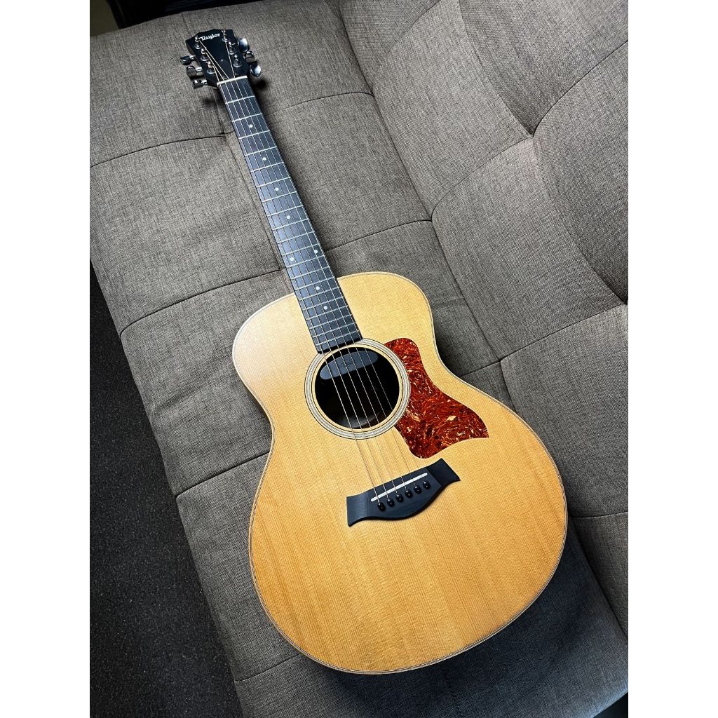 Taylor gs mini