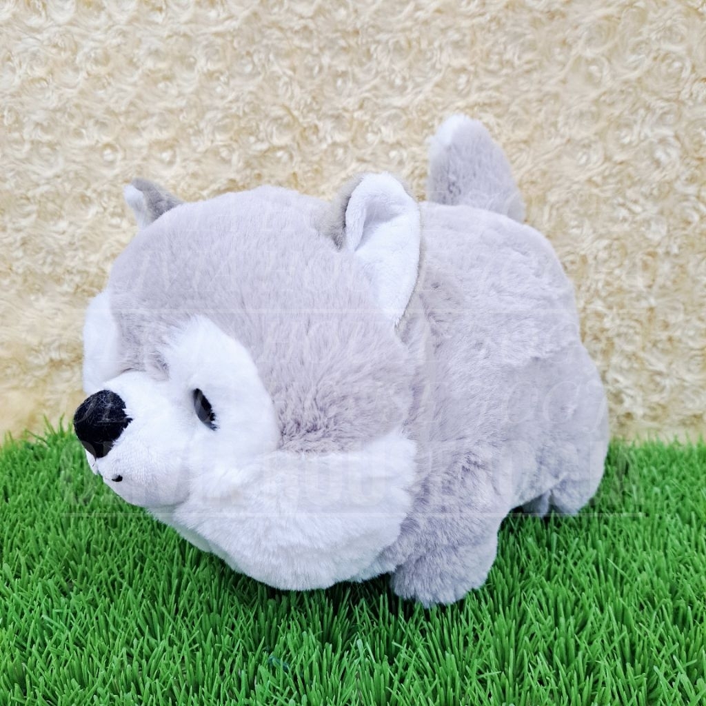 Boneka Lying Anjing Husky Abu AUR Boneka Gembul Anjing Abu Boneka Tiduran Dog Husky
