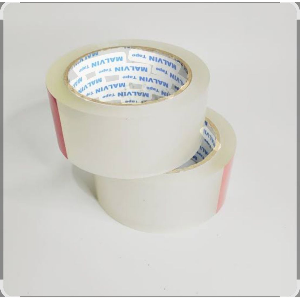 Solasiban Bening besar