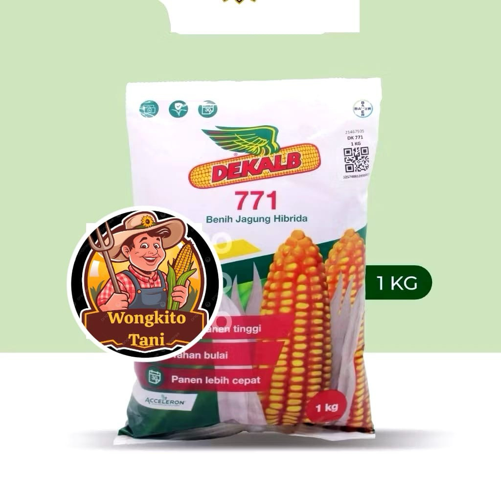 Benih Jagung Hibrida DK 771 - 1kg, Tahan Penyakit, Hasil Tinggi, Panen Cepat