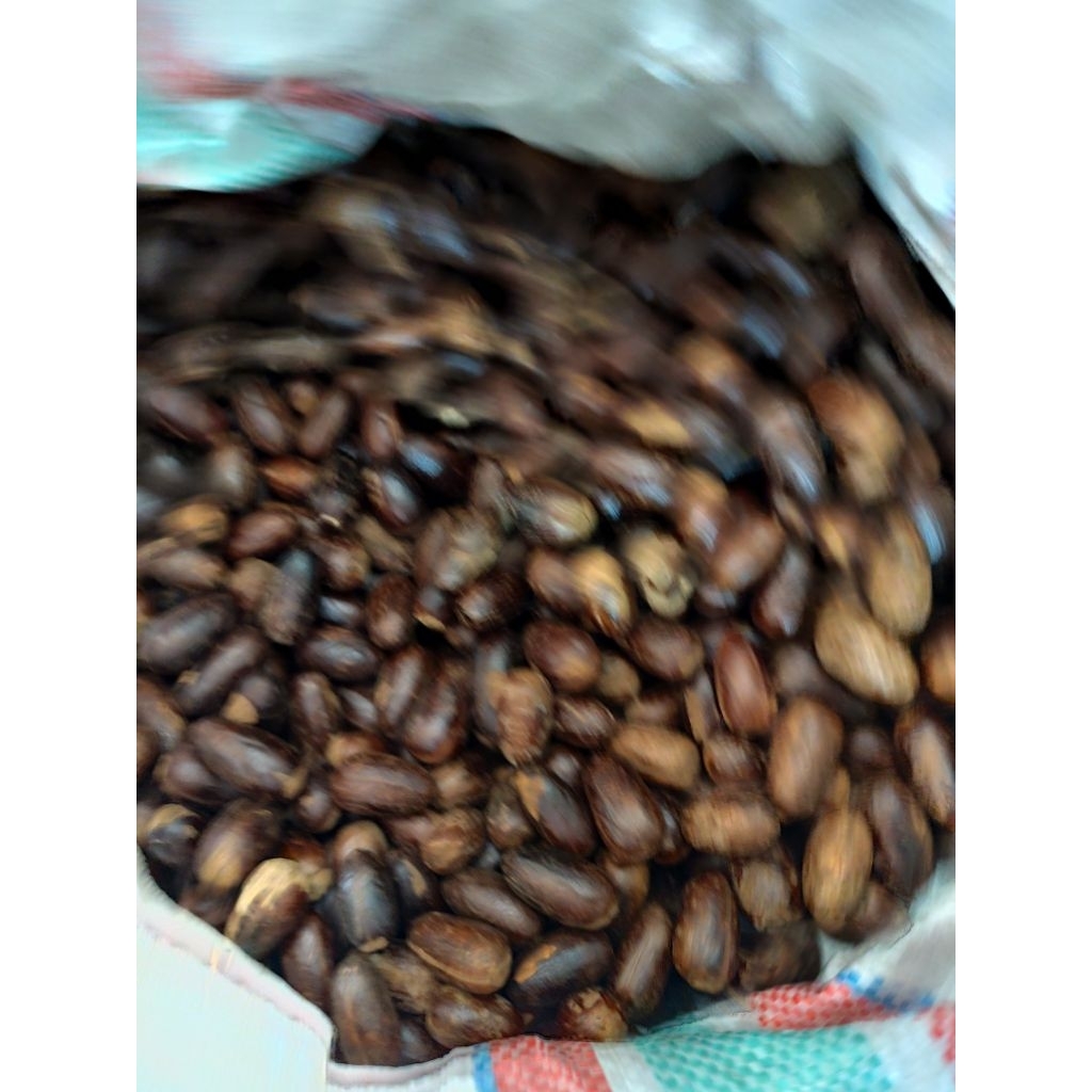 Biji Pala kulit lonjong papua premium kocak 100% 1kg,  500gr