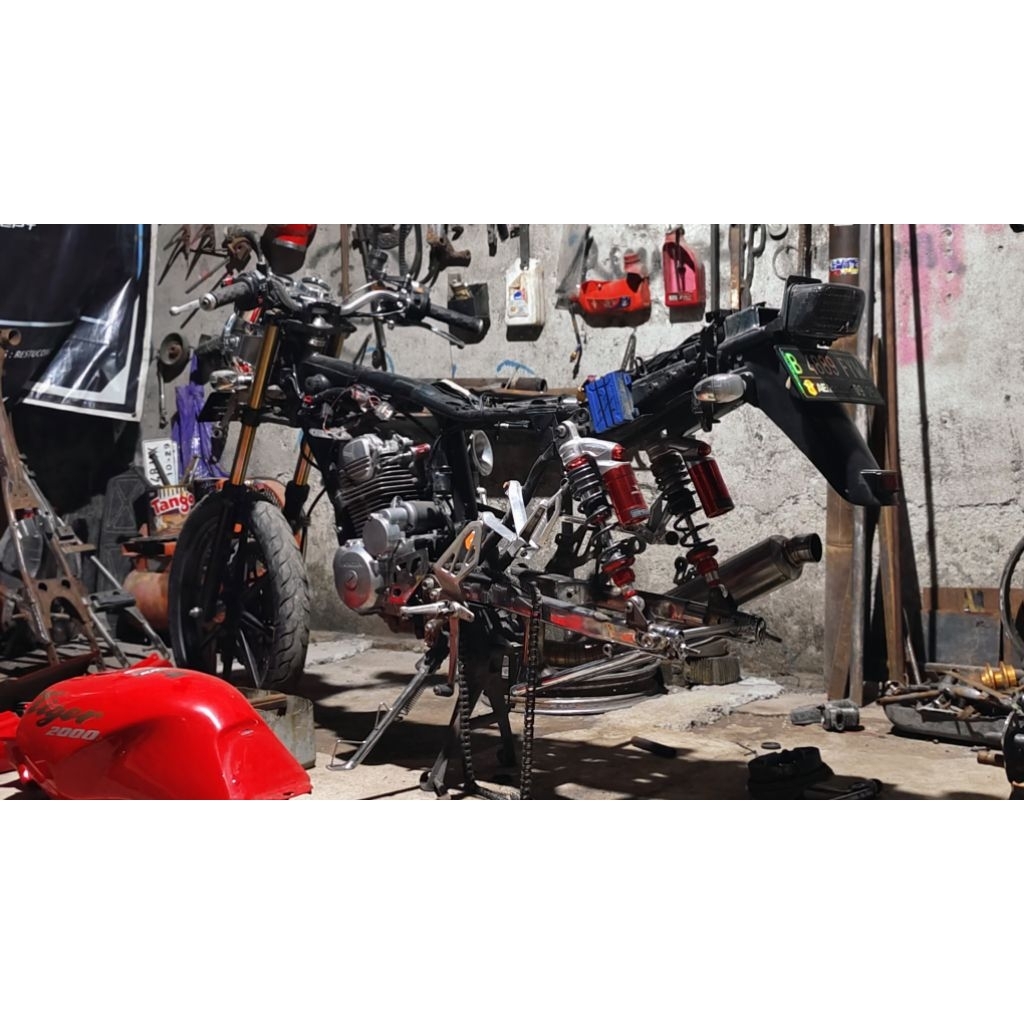 Arm ninja rr pnp tiger