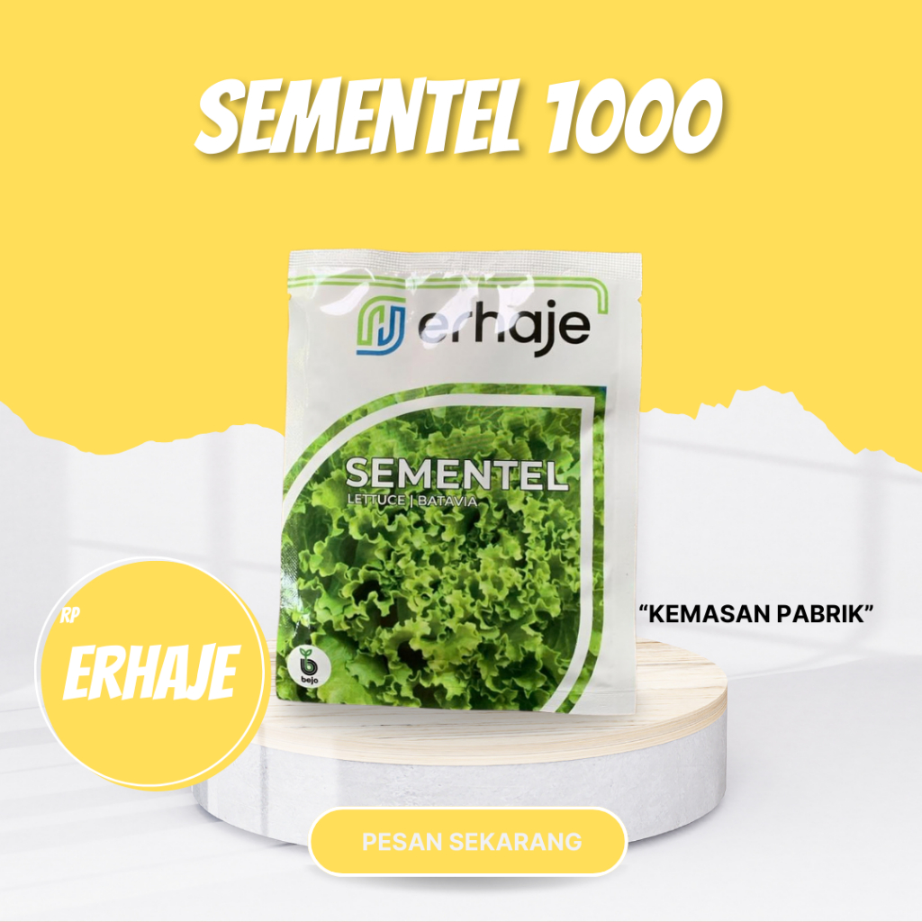 Sementel 1000 pils benih selada batavia erhaje bejo seed