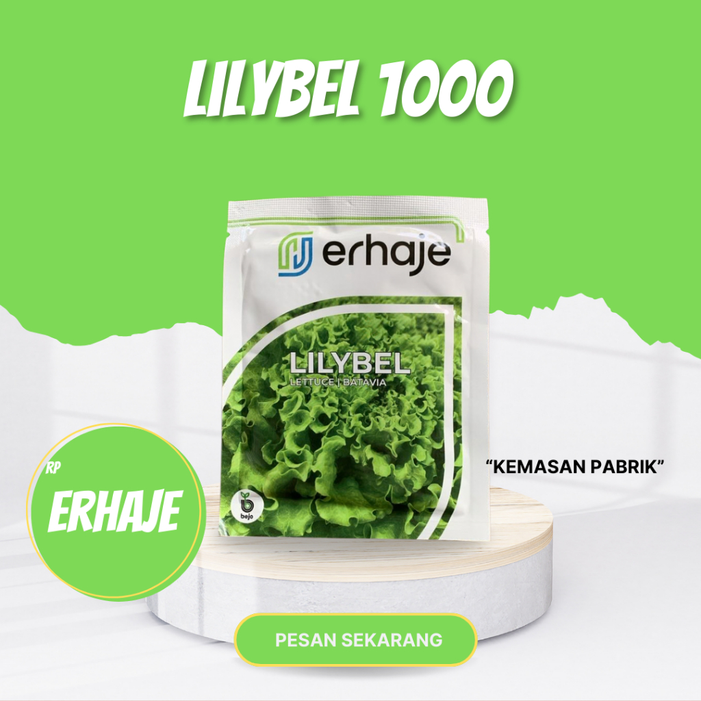 LILYBEL 1.000 Pills Benih Selada - BEJO SEED - KEMASAN ORIGINAL