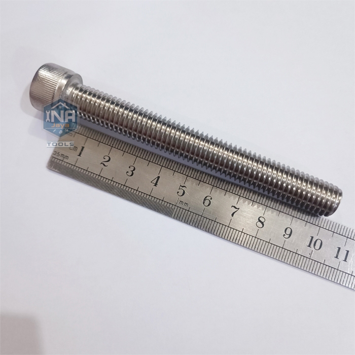 M12 x 100 Baut L Hex Head Socket Stainless 304 M12x100