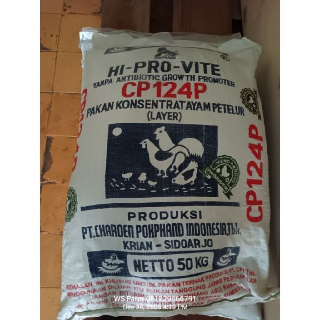 Konsentrat Ayam Repack 500gr / 1kg – Pakan Ayam Petelur Pedaging Campuran Jagung Dedak