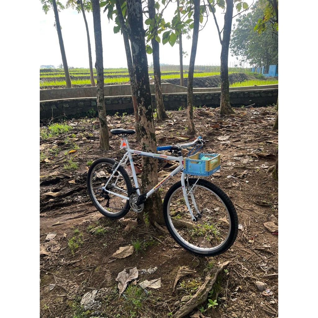 Federal Street Cat 550 21”