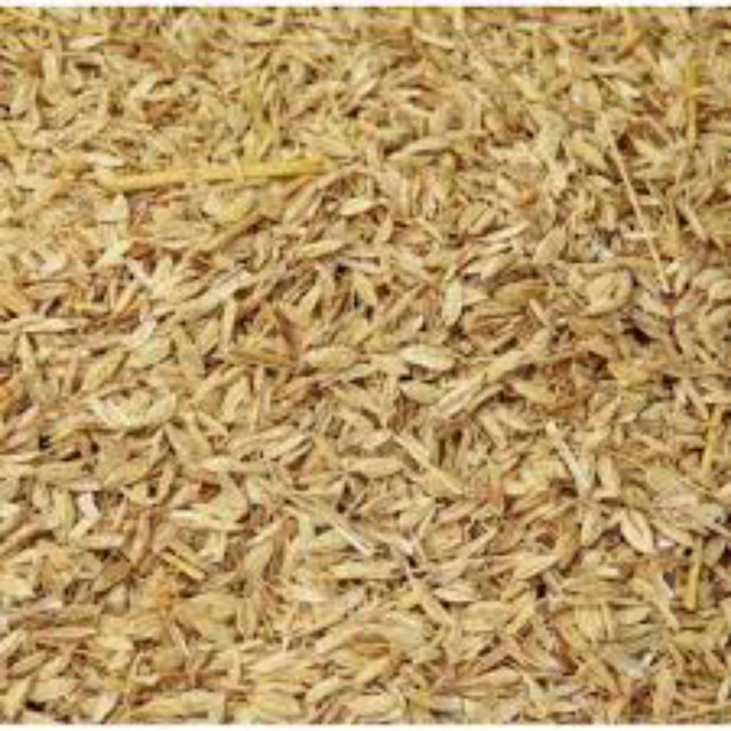 Alas Kandang SEKAM PADI 1 Karung Ukuran 50 Kg