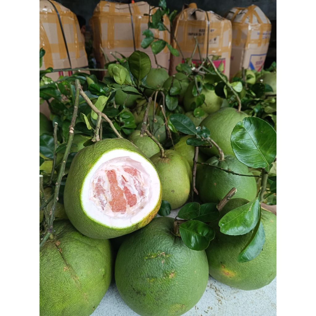 jeruk pamelo madu, fresh manis 700-1000gr