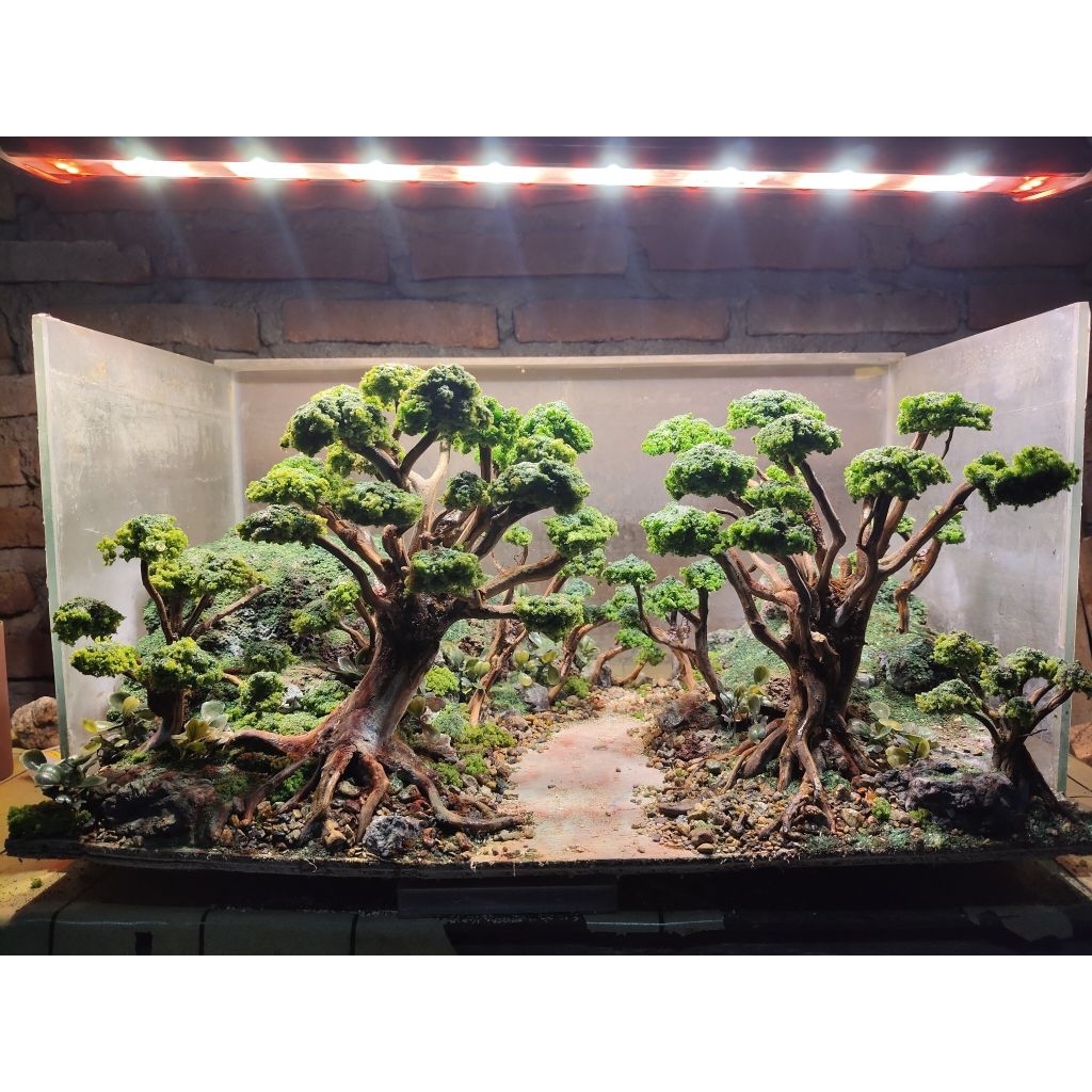 hardscape forest jungle