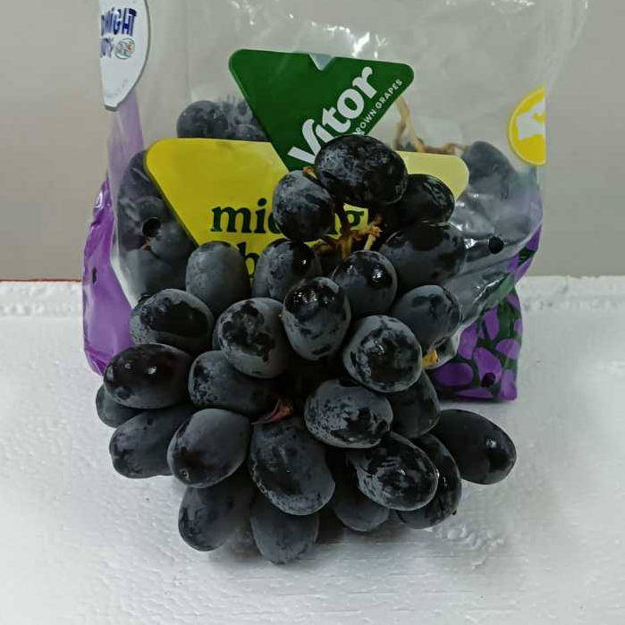 ANGGUR HITAM TANPA BIJI / SEEDLESS BLACK GRAPES