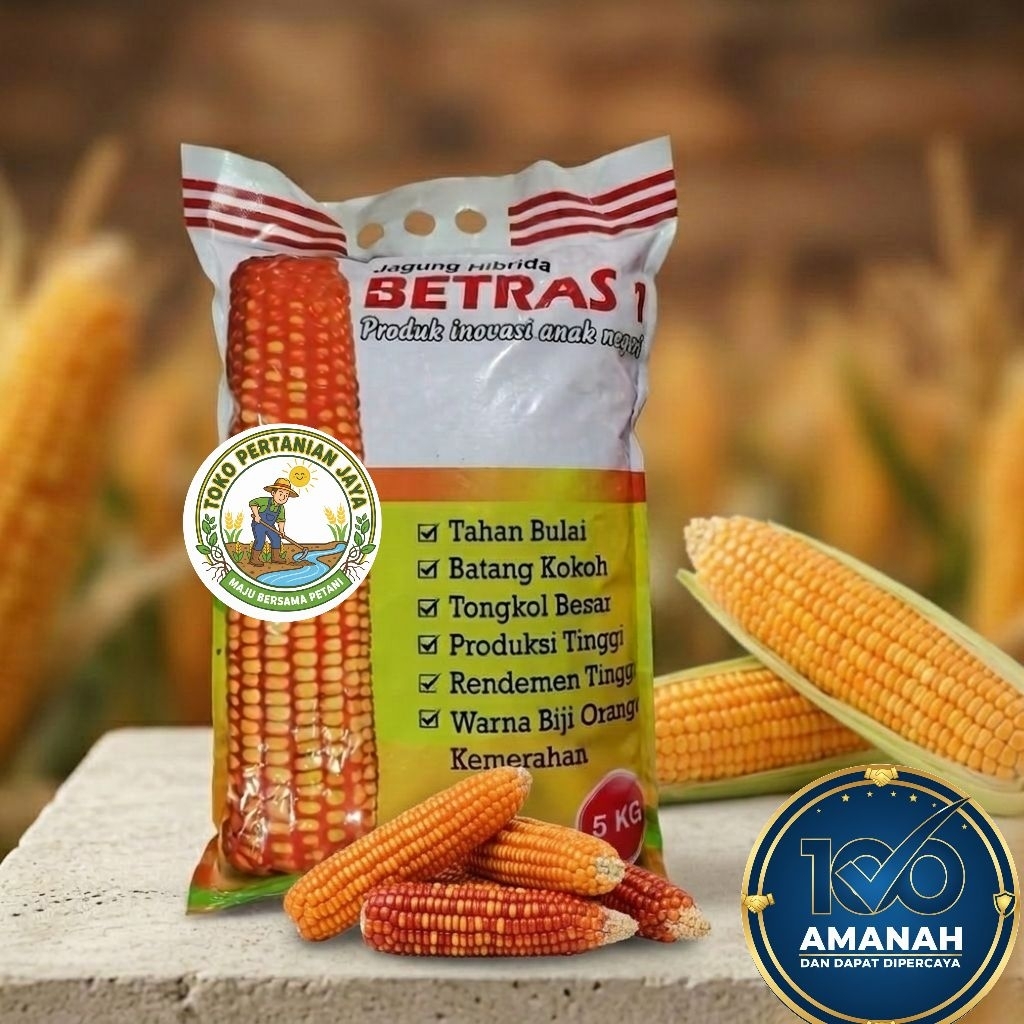 Benih jagung hibrida Betras 1 5kg